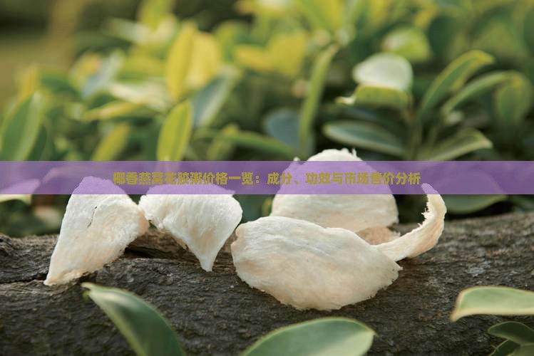 椰香燕窝花胶粥价格一览：成分、功效与市场售价分析