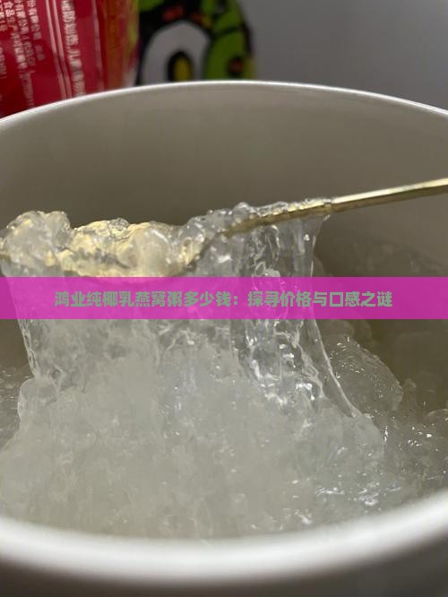鸿业纯椰乳燕窝粥多少钱：探寻价格与口感之谜