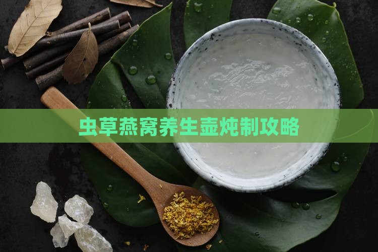 虫草燕窝养生壶炖制攻略