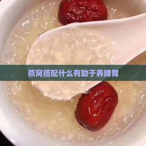 燕窝搭配什么有助于养脾胃