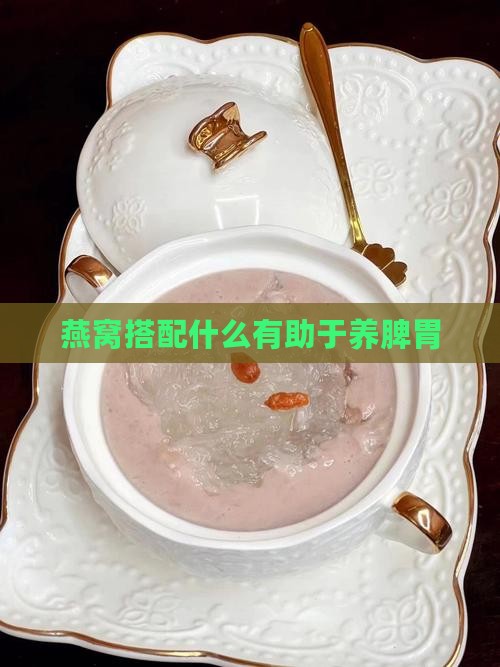 燕窝搭配什么有助于养脾胃