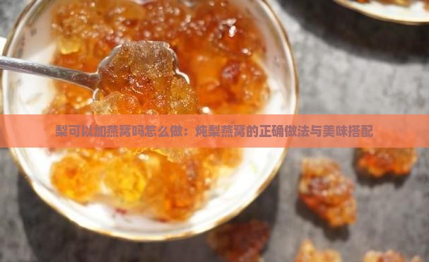 梨可以加燕窝吗怎么做：炖梨燕窝的正确做法与美味搭配