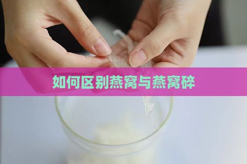 如何区别燕窝与燕窝碎