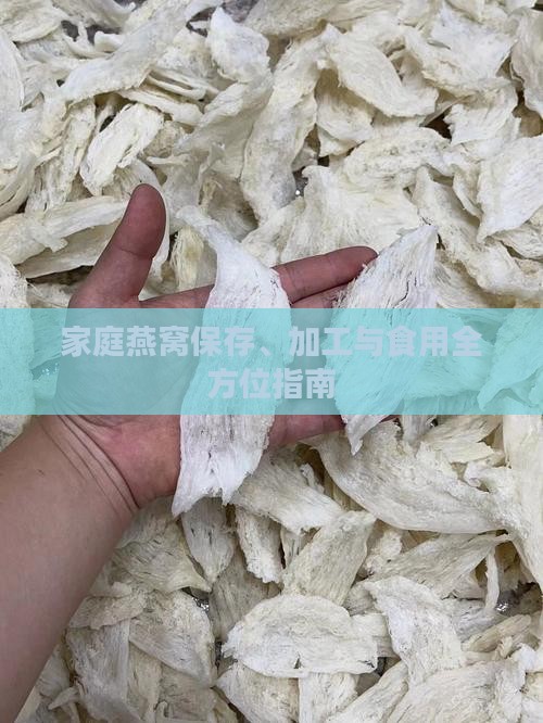 家庭燕窝保存、加工与食用全方位指南