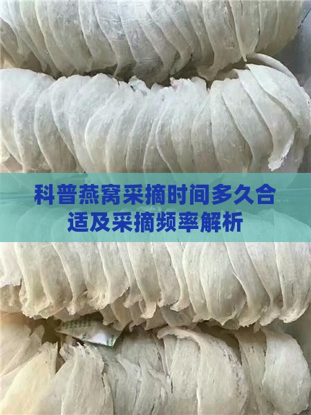科普燕窝采摘时间多久合适及采摘频率解析
