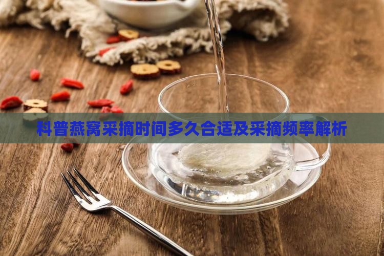 科普燕窝采摘时间多久合适及采摘频率解析