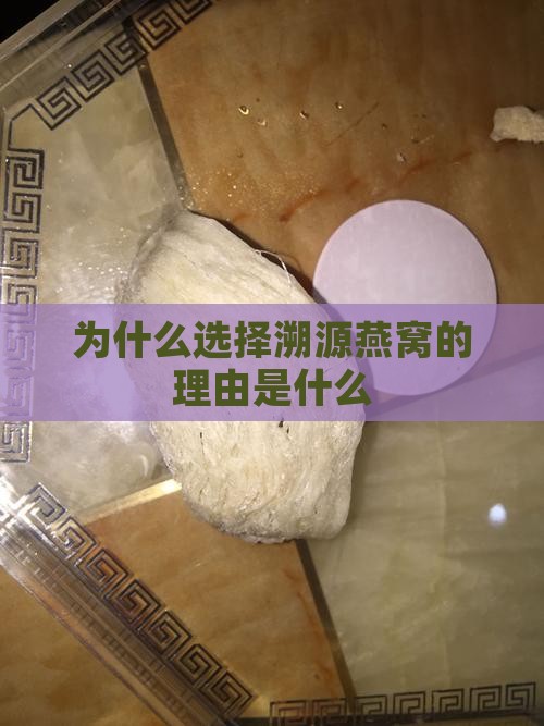 为什么选择溯源燕窝的理由是什么