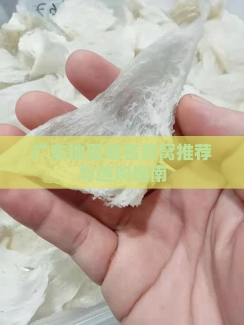 广东地区知名燕窝推荐与选购指南