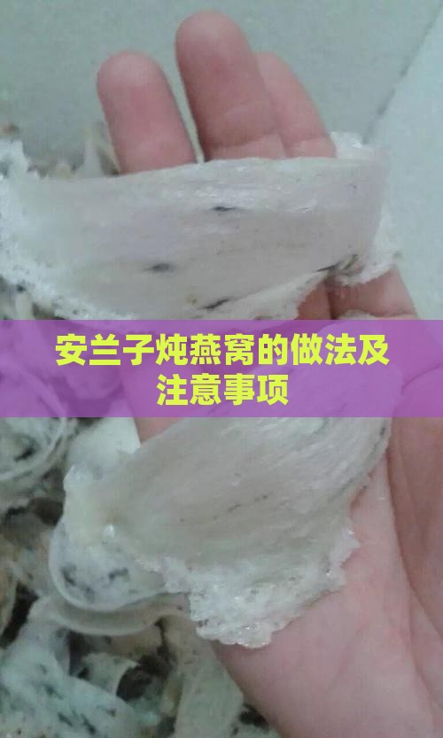 安兰子炖燕窝的做法及注意事项