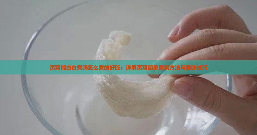 燕窝能白白煮吗怎么煮的好吃：详解燕窝简单煮制方法与美味技巧