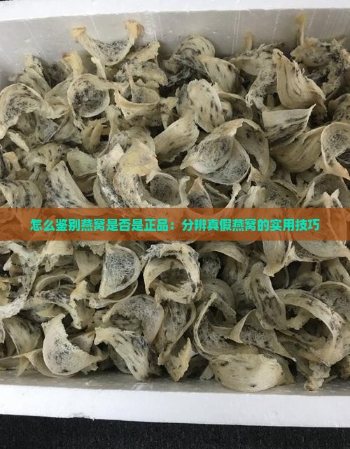 怎么鉴别燕窝是否是正品：分辨真假燕窝的实用技巧