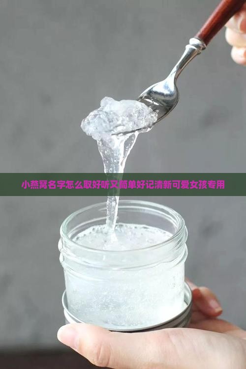 小燕窝名字怎么取好听又简单好记清新可爱女孩专用