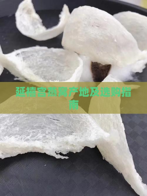 延禧宫燕窝产地及选购指南