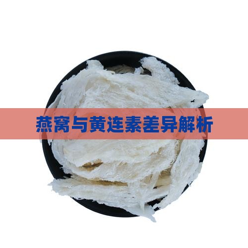 燕窝与黄连素差异解析