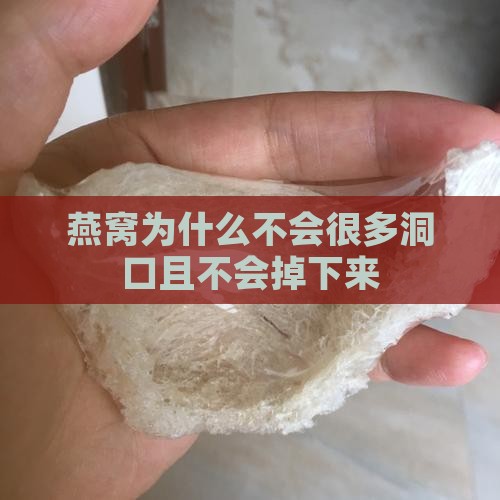 燕窝为什么不会很多洞口且不会掉下来