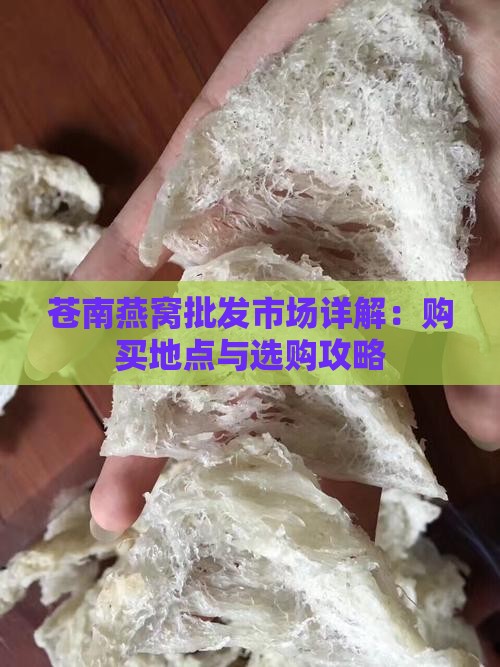 苍南燕窝批发市场详解：购买地点与选购攻略