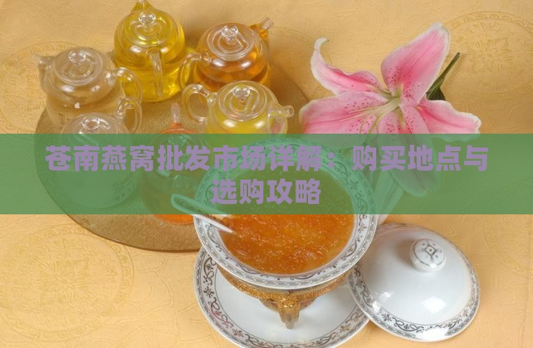 苍南燕窝批发市场详解：购买地点与选购攻略