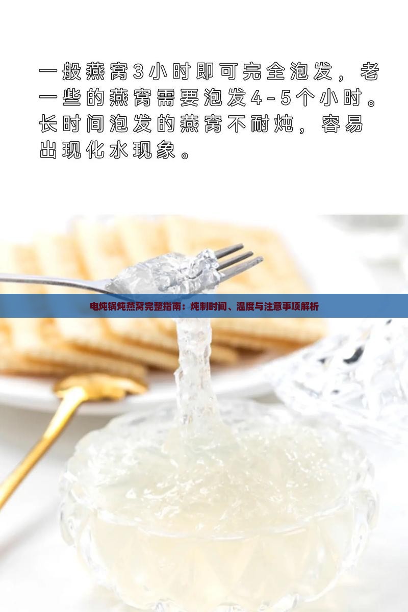 电炖锅炖燕窝完整指南：炖制时间、温度与注意事项解析