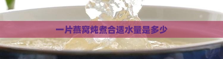 一片燕窝炖煮合适水量是多少