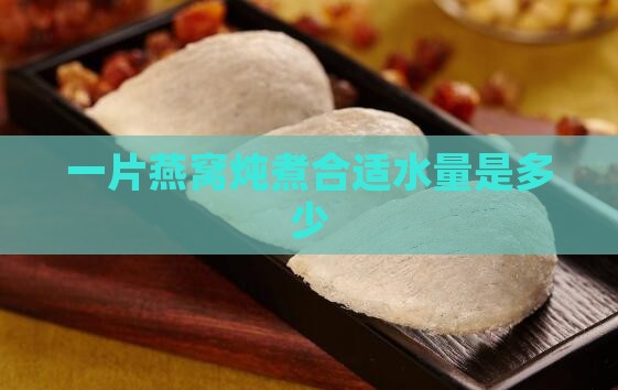一片燕窝炖煮合适水量是多少