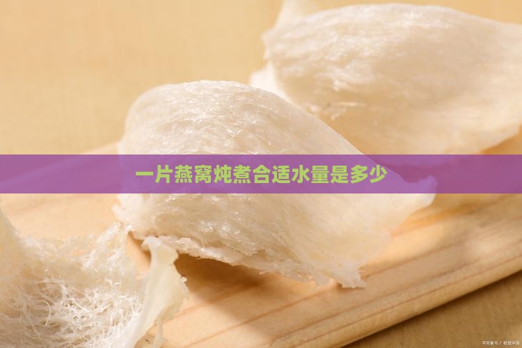 一片燕窝炖煮合适水量是多少