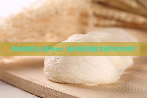 燕窝炖好怎么保存ins：延长保质期的冷藏方法与技巧
