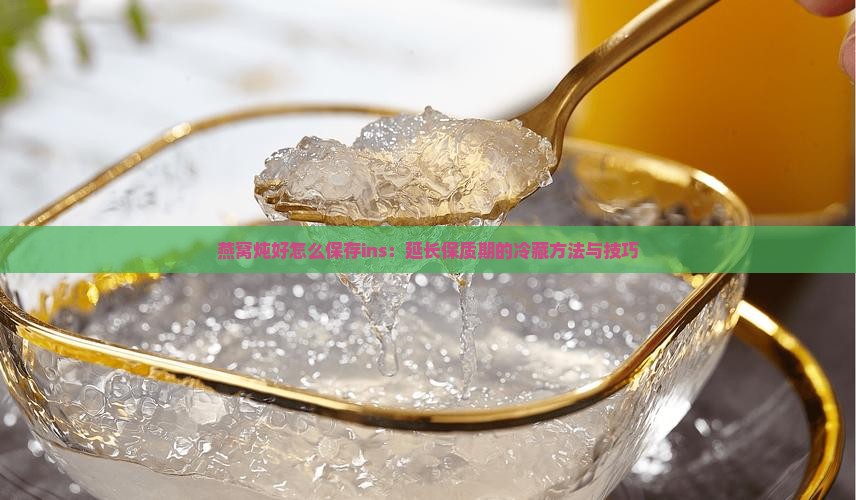 燕窝炖好怎么保存ins：延长保质期的冷藏方法与技巧