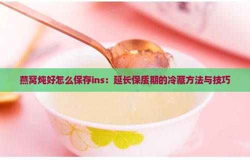 燕窝炖好怎么保存ins：延长保质期的冷藏方法与技巧