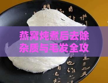 燕窝炖煮后去除杂质与毛发全攻略