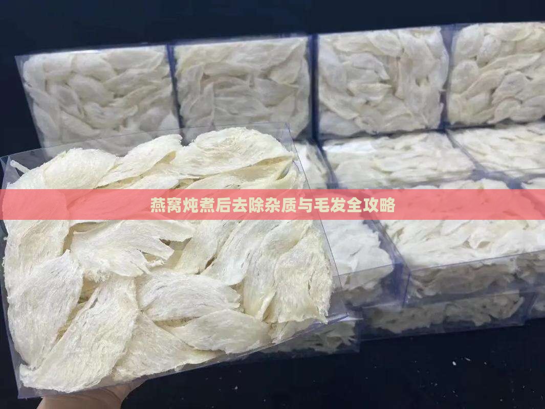 燕窝炖煮后去除杂质与毛发全攻略