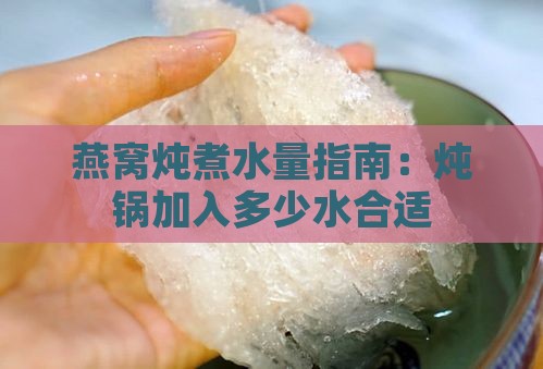 燕窝炖煮水量指南：炖锅加入多少水合适