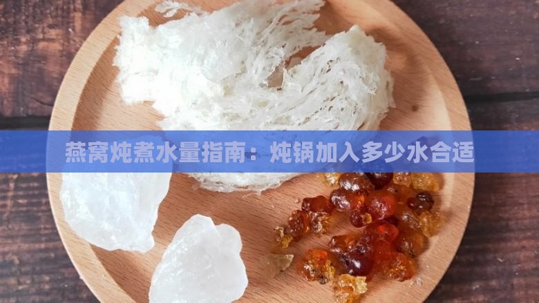 燕窝炖煮水量指南：炖锅加入多少水合适