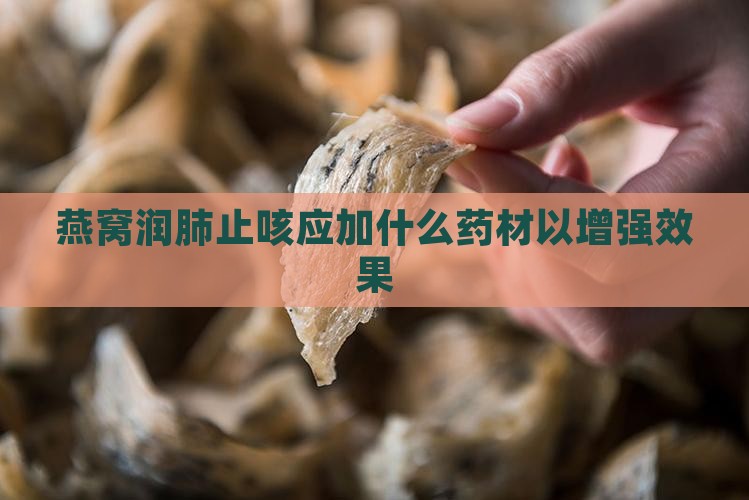 燕窝润肺止咳应加什么药材以增强效果