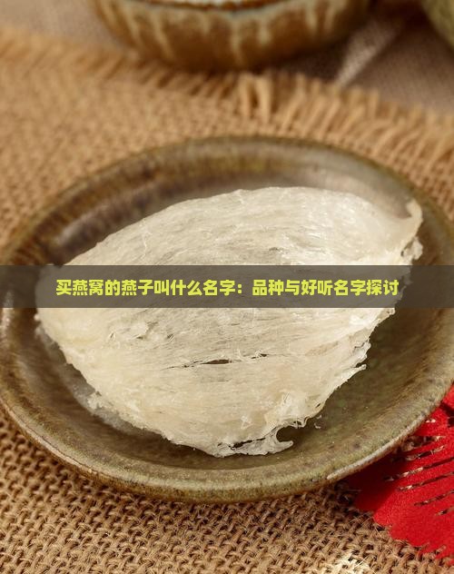 买燕窝的燕子叫什么名字：品种与好听名字探讨