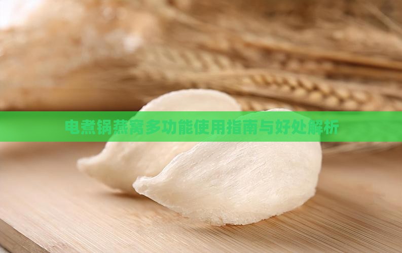电煮锅燕窝多功能使用指南与好处解析