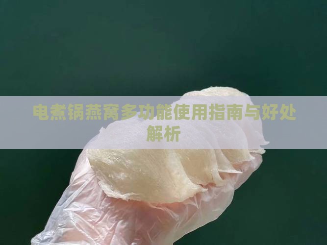 电煮锅燕窝多功能使用指南与好处解析