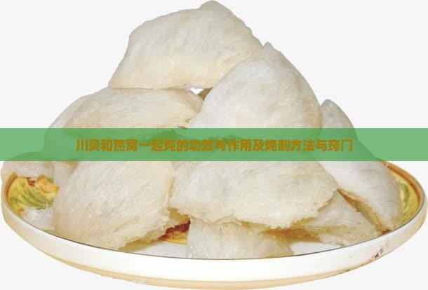 川贝和燕窝一起炖的功效与作用及炖制方法与窍门