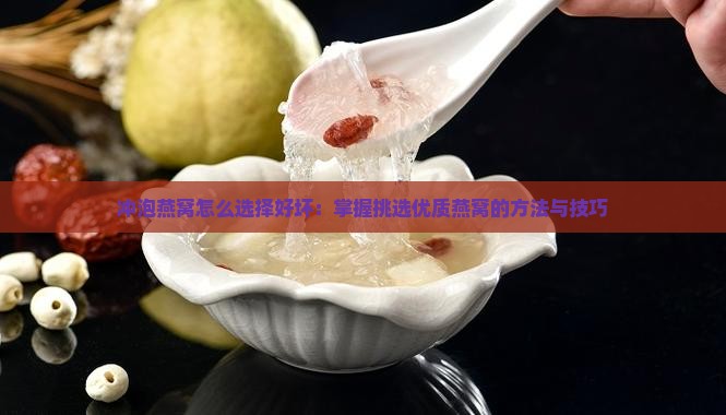 冲泡燕窝怎么选择好坏：掌握挑选优质燕窝的方法与技巧