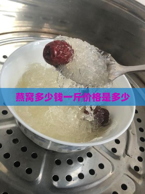 燕窝多少钱一斤价格是多少
