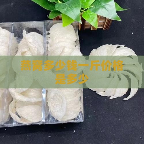 燕窝多少钱一斤价格是多少