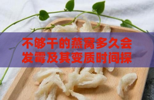 不够干的燕窝多久会发霉及其变质时间探究