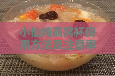 小仙炖燕窝杯使用方法及注意事项详解