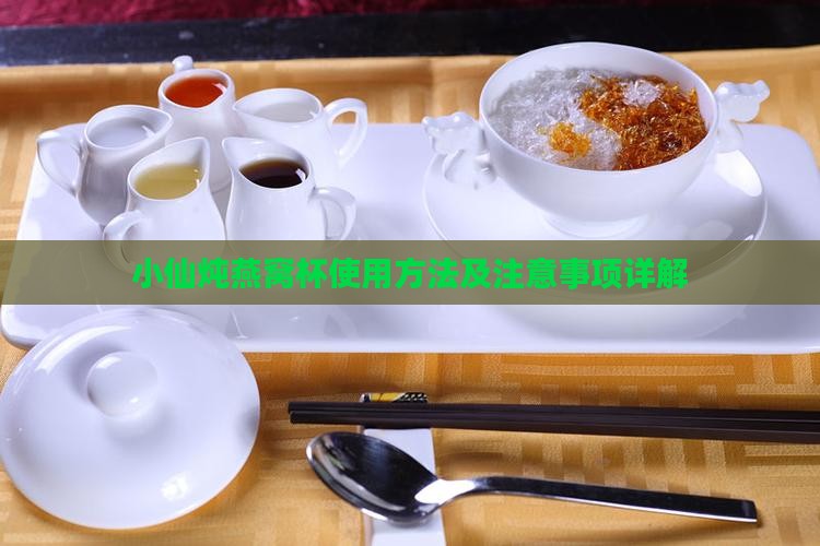 小仙炖燕窝杯使用方法及注意事项详解