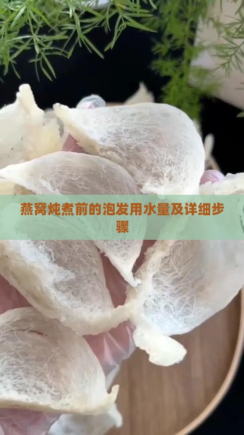 燕窝炖煮前的泡发用水量及详细步骤