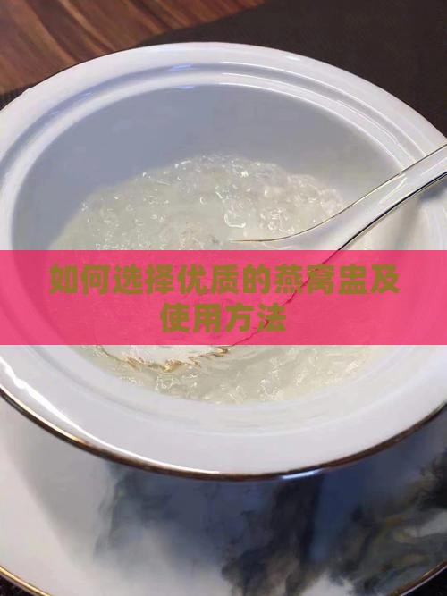 如何选择优质的燕窝盅及使用方法