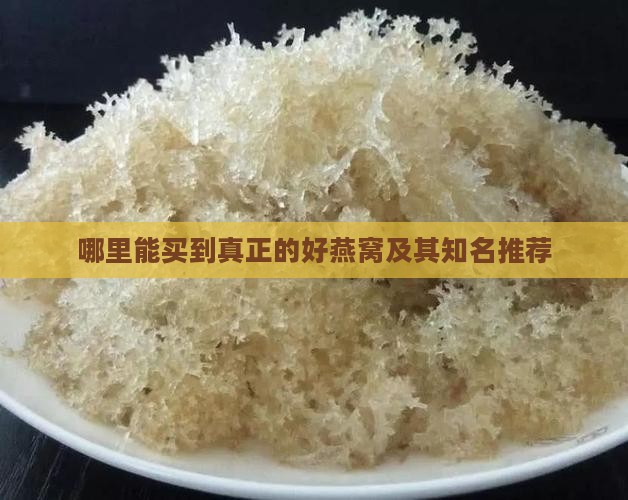 哪里能买到真正的好燕窝及其知名推荐