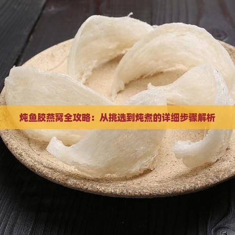 炖鱼胶燕窝全攻略：从挑选到炖煮的详细步骤解析
