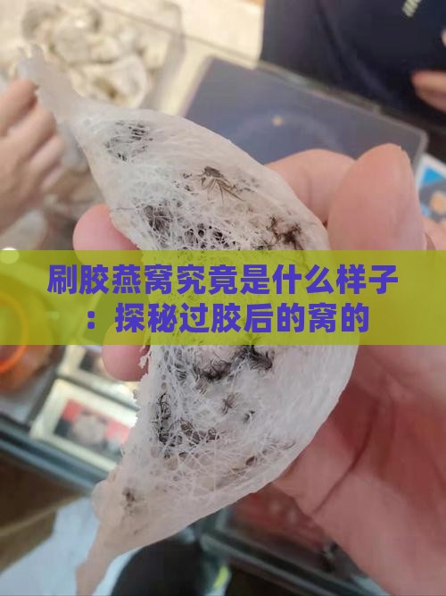 刷胶燕窝究竟是什么样子：探秘过胶后的窝的