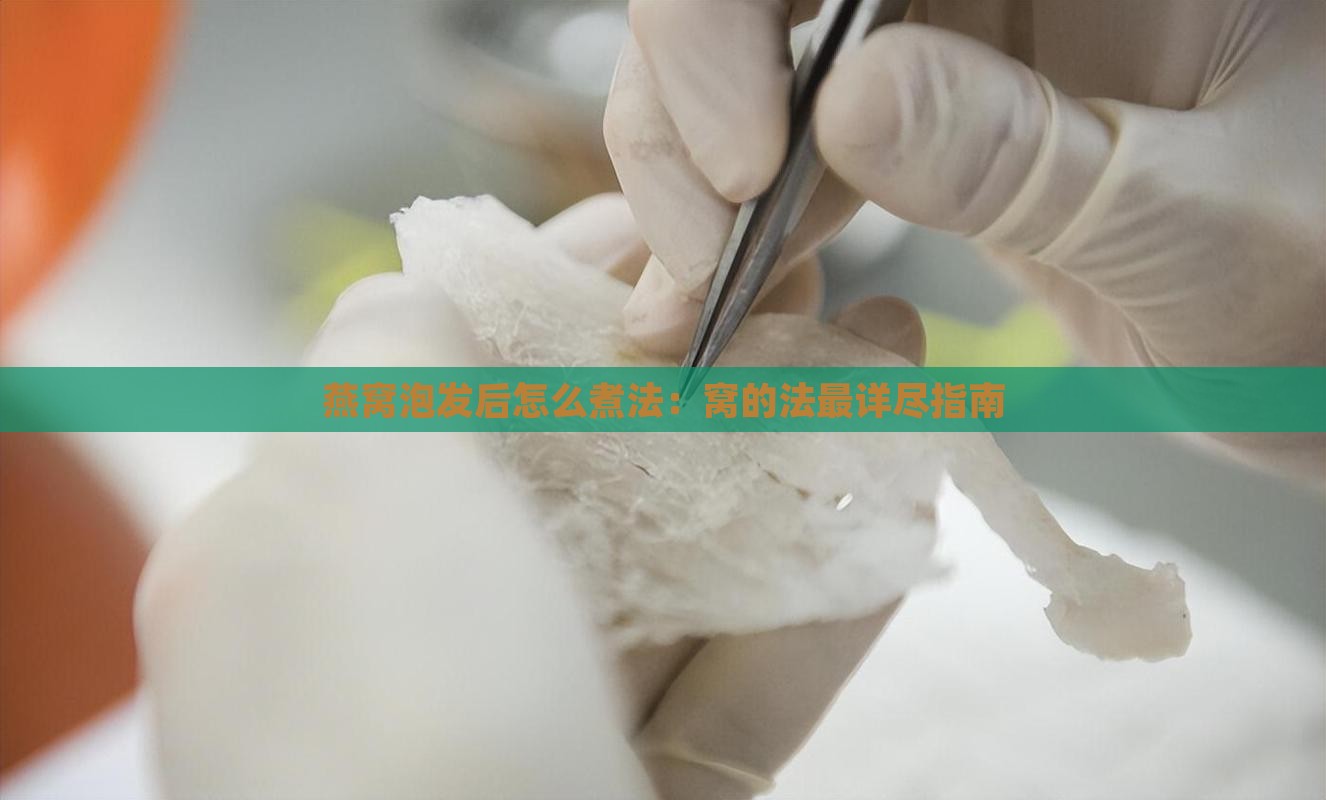 燕窝泡发后怎么煮法：窝的法最详尽指南