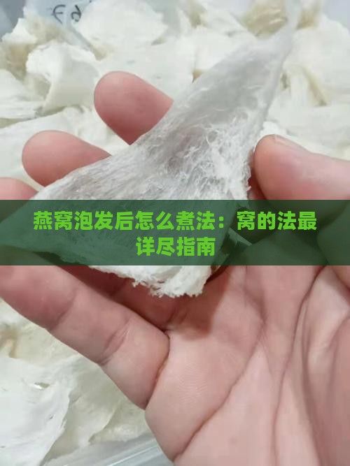 燕窝泡发后怎么煮法：窝的法最详尽指南